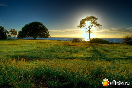 18 ����: ��� ��������� ������ ������