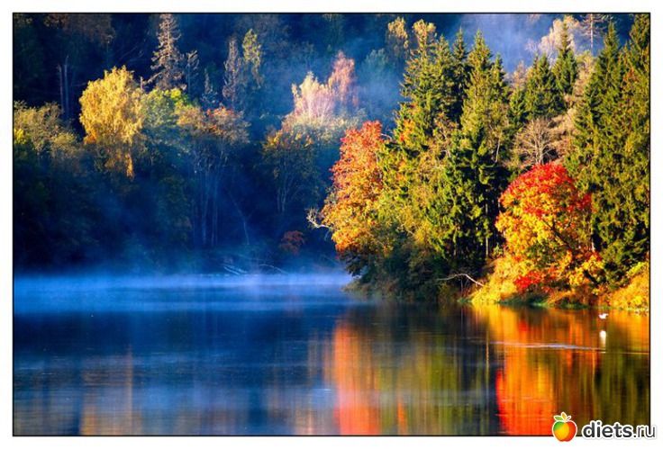 25 ����: ��� ��������� ������ ������