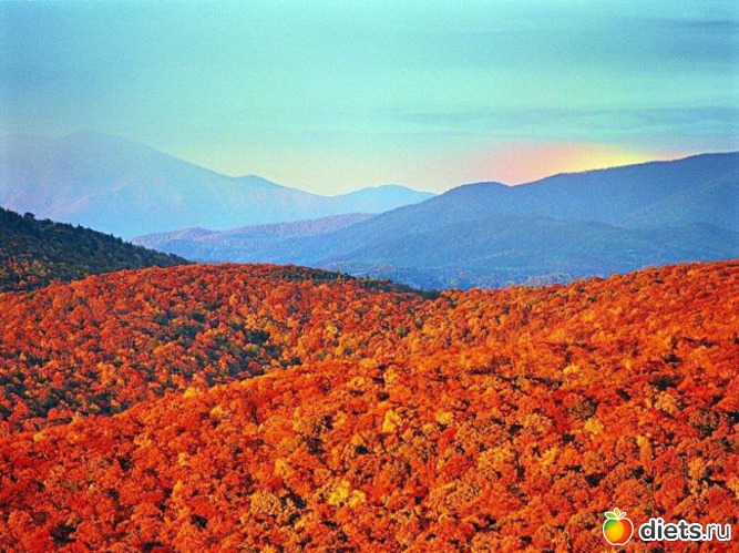 26 ����: ��� ��������� ������ ������