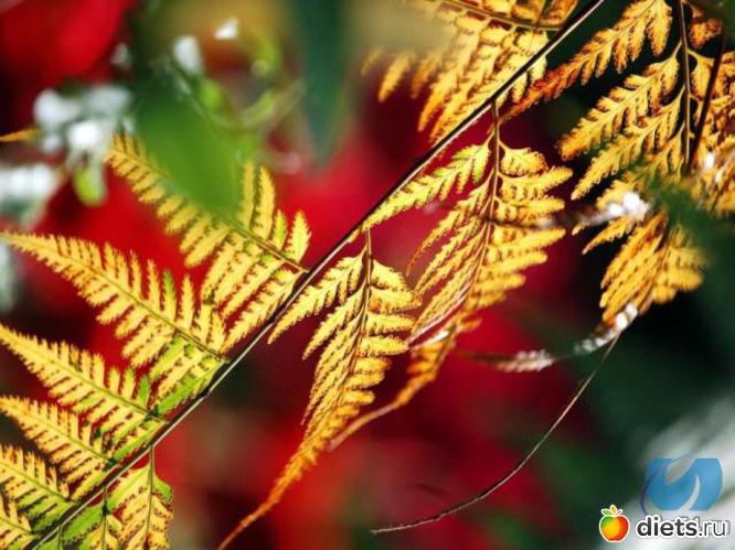 28 ����: ��� ��������� ������ ������