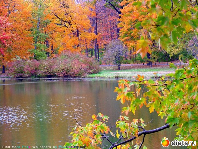 30 ����: ��� ��������� ������ ������