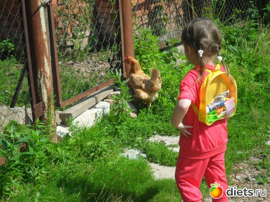 4 ����: ��� ��� � � ����