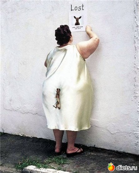 22 ����: ���������