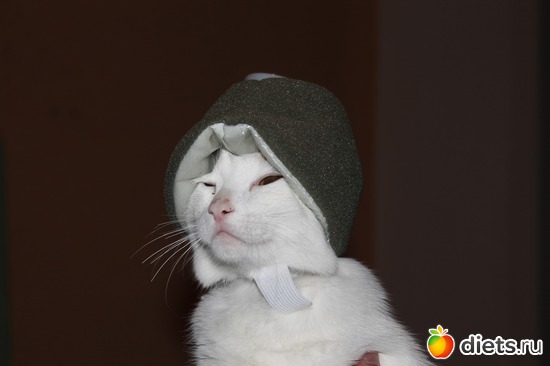 ����� � �������, ������: ������