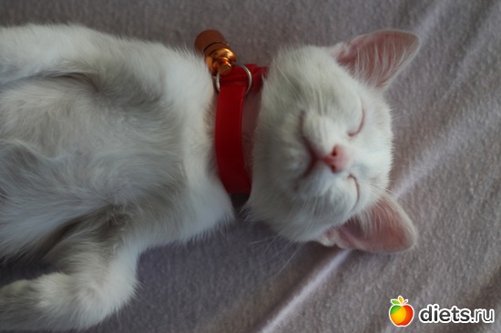 9 ����: ������