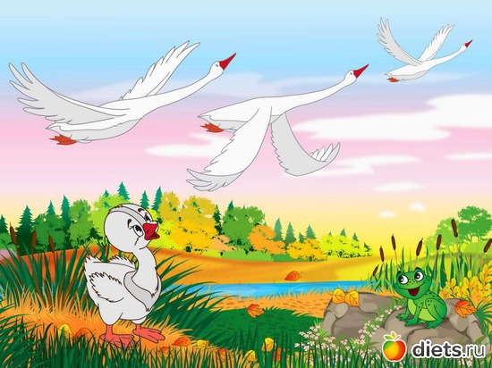 41 фото: Моя работа