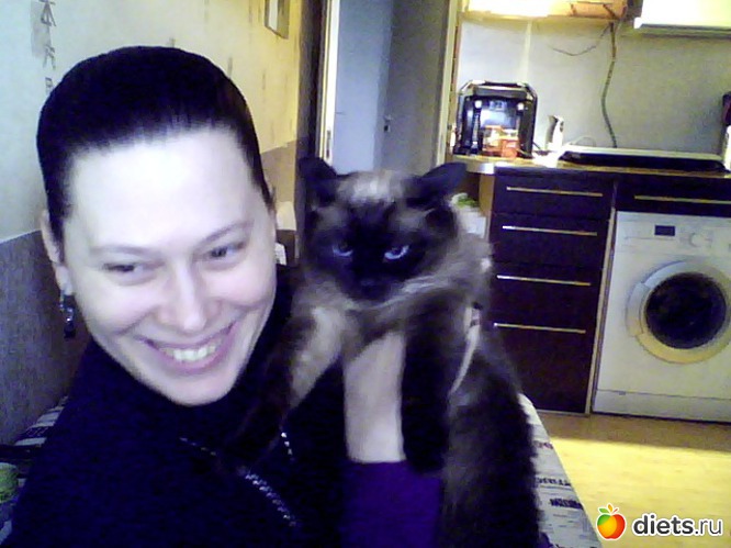 5 фото: кошака