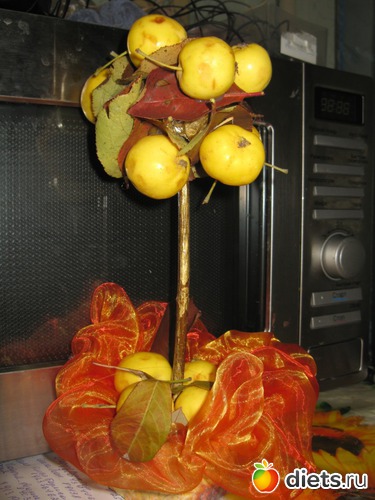 24 ����: �����