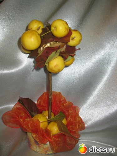 26 ����: �����