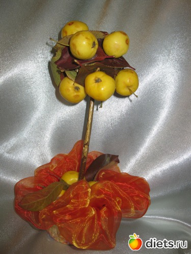 27 ����: �����