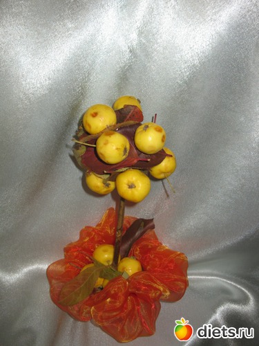 28 ����: �����