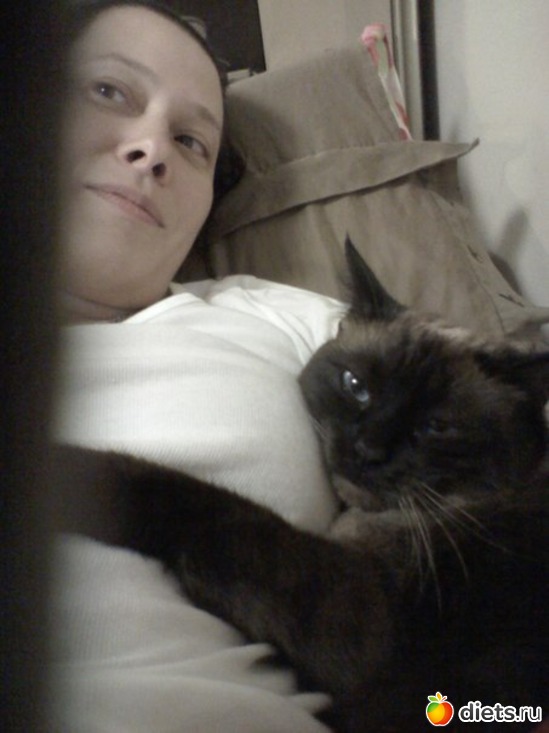 6 фото: кошака