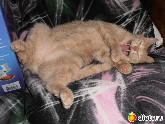 1 ����: ����