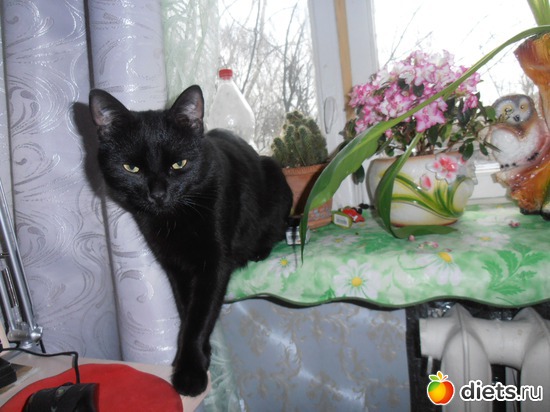 2 ����: ����