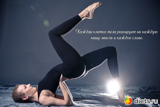 41 ����: ��� ���������