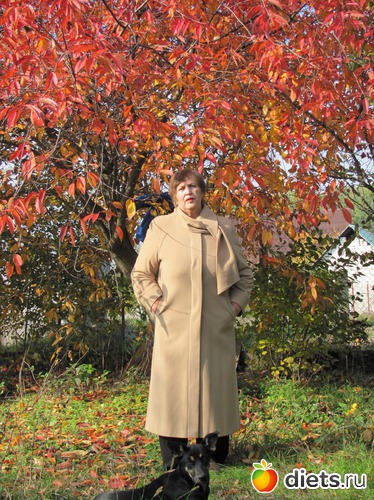   .  114.8 , :    , 2013 