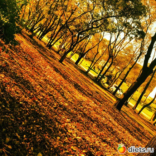 8 ����: ������