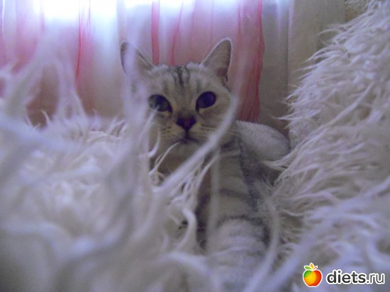 26 ����: ��� ������