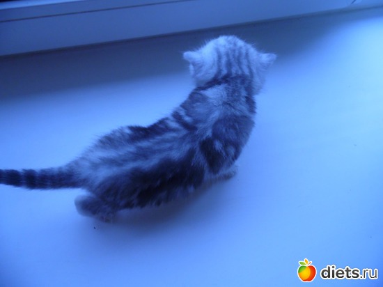 27 ����: ��� ������