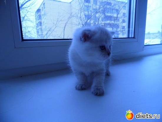 28 ����: ��� ������