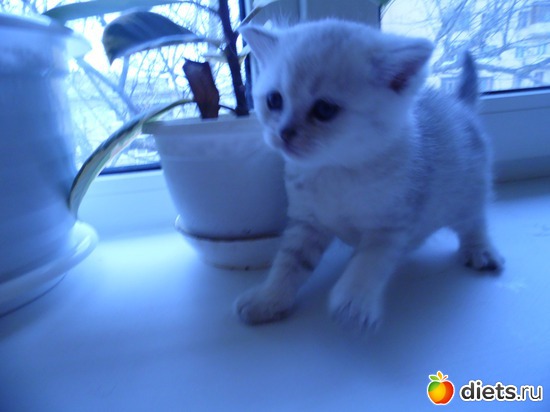 29 ����: ��� ������