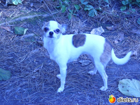 30 ����: ��� ������