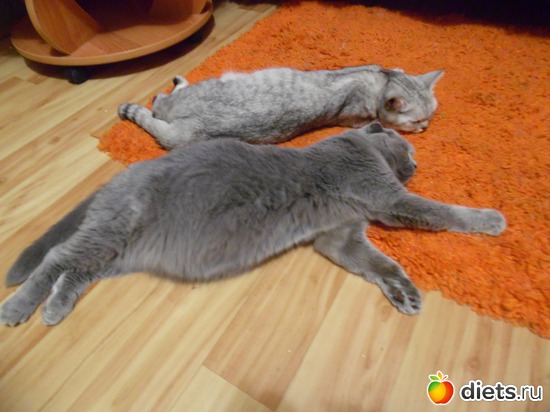 31 ����: ��� ������