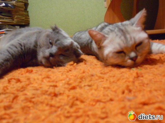 32 ����: ��� ������