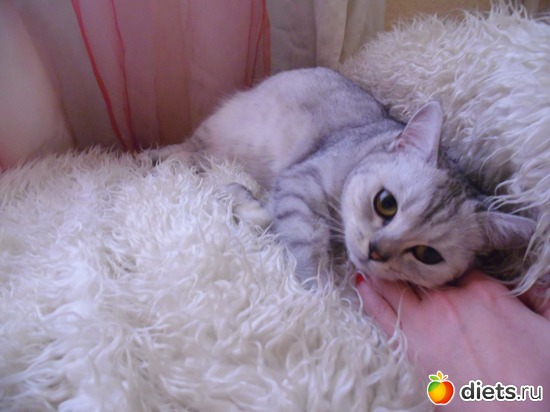 34 ����: ��� ������