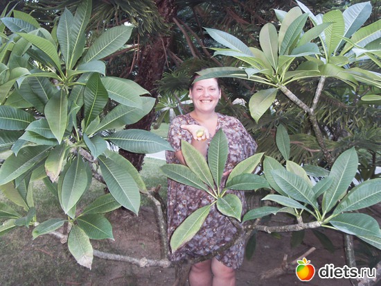 23 ����: Suntopia Pegasos World 5* (������/����)