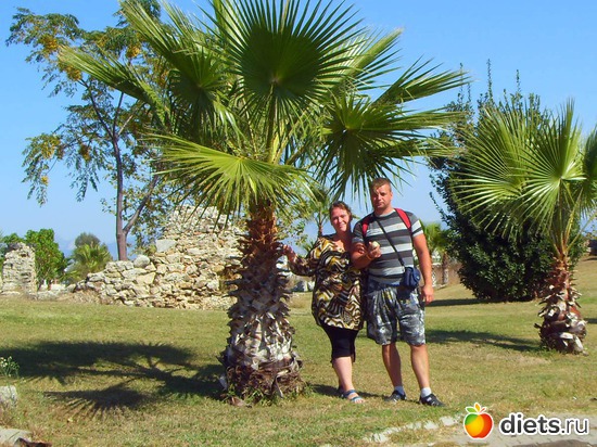 34 ����: Suntopia Pegasos World 5* (������/����)