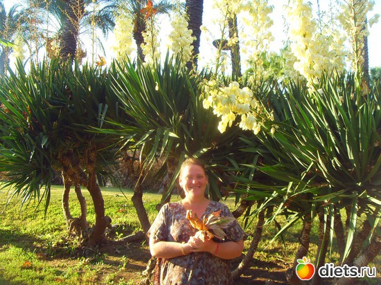 35 ����: Suntopia Pegasos World 5* (������/����)