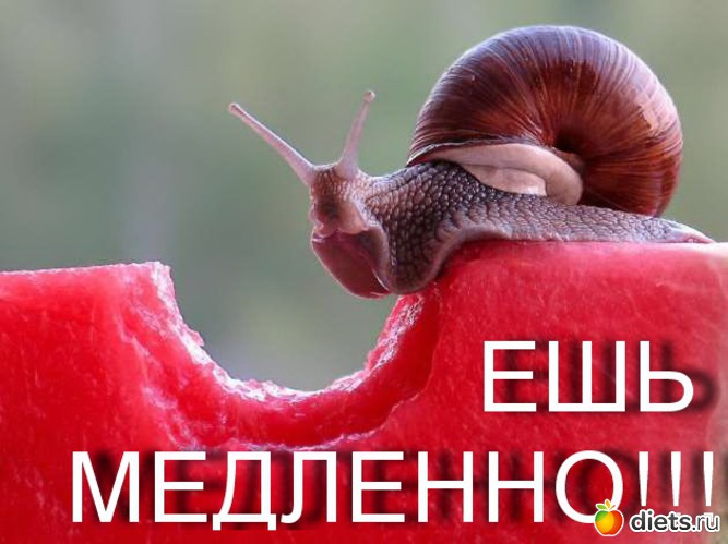 1 ����: ��� ��������