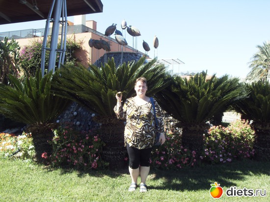 3 ����: Suntopia Pegasos World 5* (������/����)