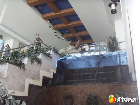 ��� �����, ������: Suntopia Pegasos World 5* (������/����)