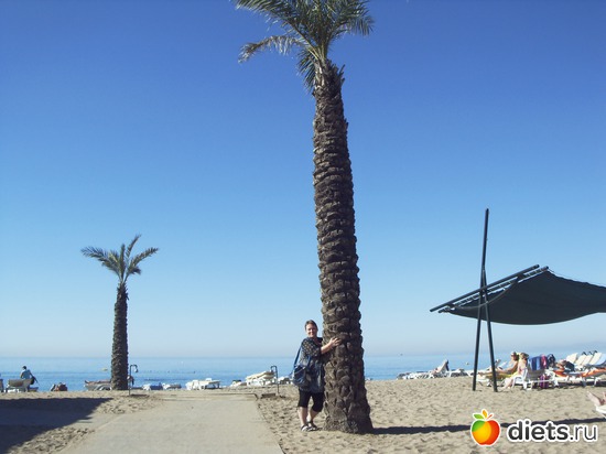 19 ����: Suntopia Pegasos World 5* (������/����)