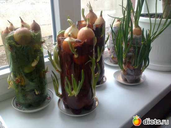 ������ ��� http://www.diets.ru/post/1059019/, ������: ���������.