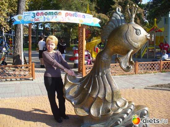 2 ����: ��������� 2013