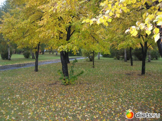 Canon IXUS 850 IS, :    &quot; &quot; 