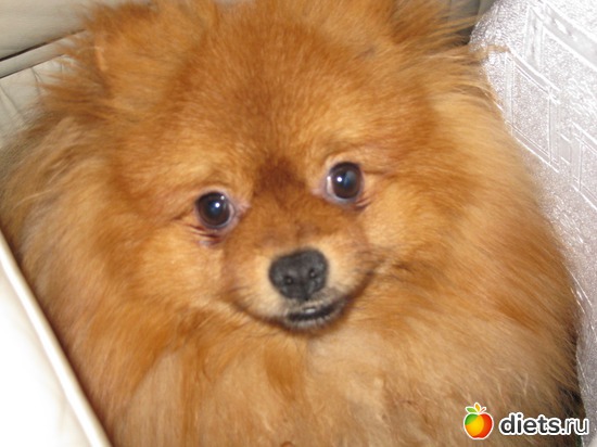 2 ����: ��� �������