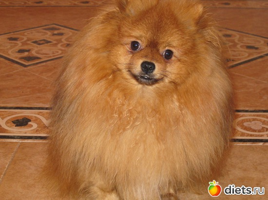 3 ����: ��� �������