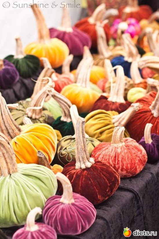 33, ������: �������