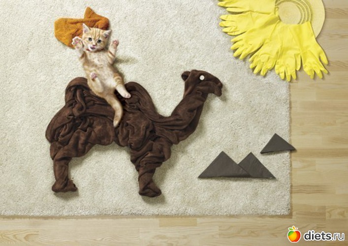 35, ������: �������