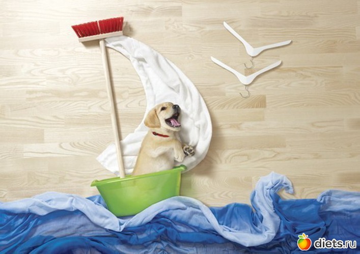 36, ������: �������