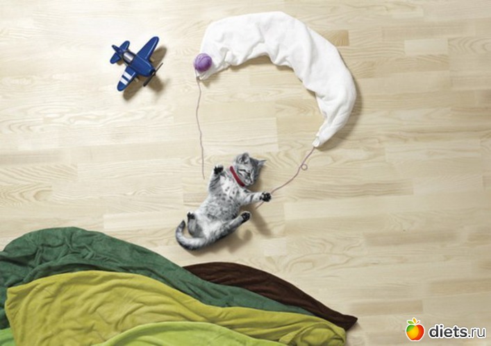 37, ������: �������