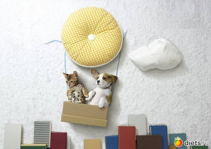 38, ������: �������