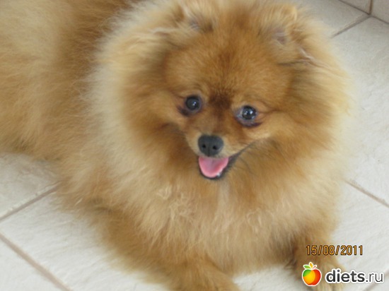 1 ����: ��� �������