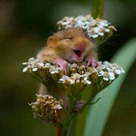 Радуйся жизни! Сегодня и сейчас!)