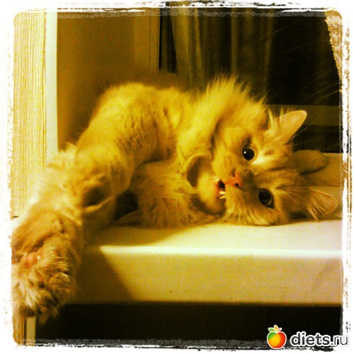 3 фото: Всего понемногу