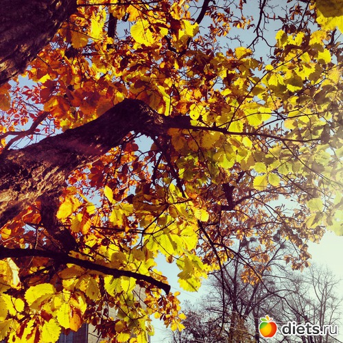 9 ����: ������